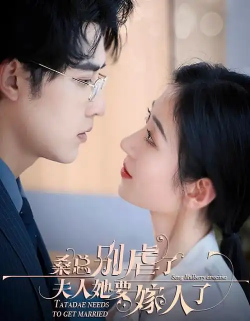 城南旧巷热播电视剧全集手机免费在线观看